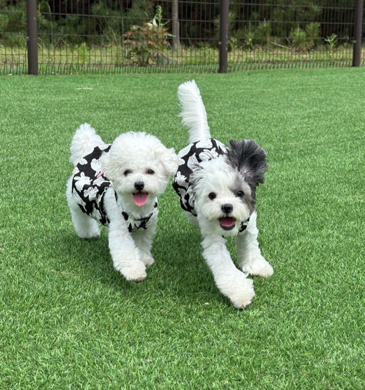 우리집첫째 사상점
